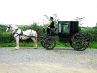 Best Carriages 288527 Image 0